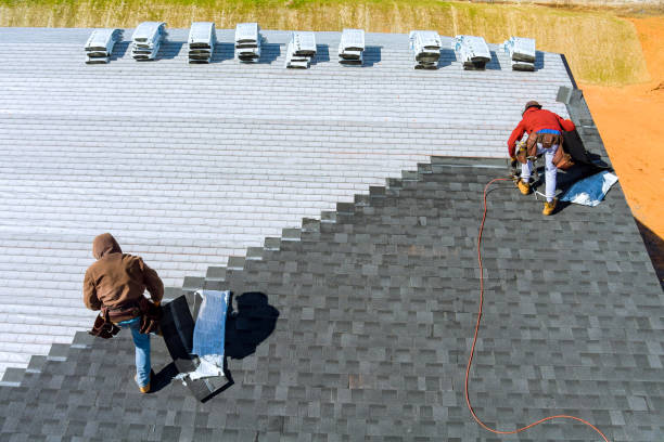 Best Gutter Installation and Roofing  in Ray City, GA