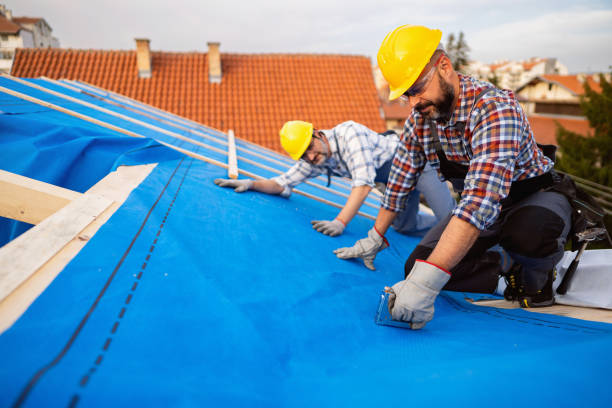 Quick and Trustworthy Emergency Roof Repair Services in Ray City, GA