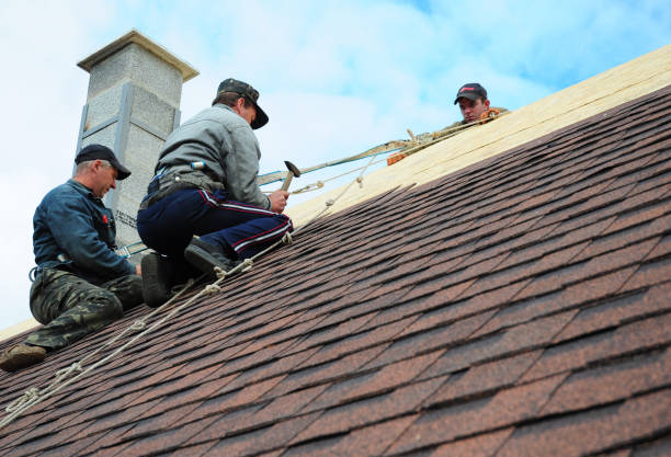 Best Storm Damage Roof Repair  in Ray City, GA