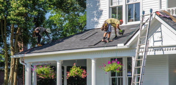 Best Roof Gutter Cleaning  in Ray City, GA