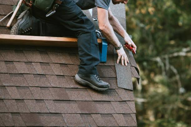 Best Roof Waterproofing Services  in Ray City, GA